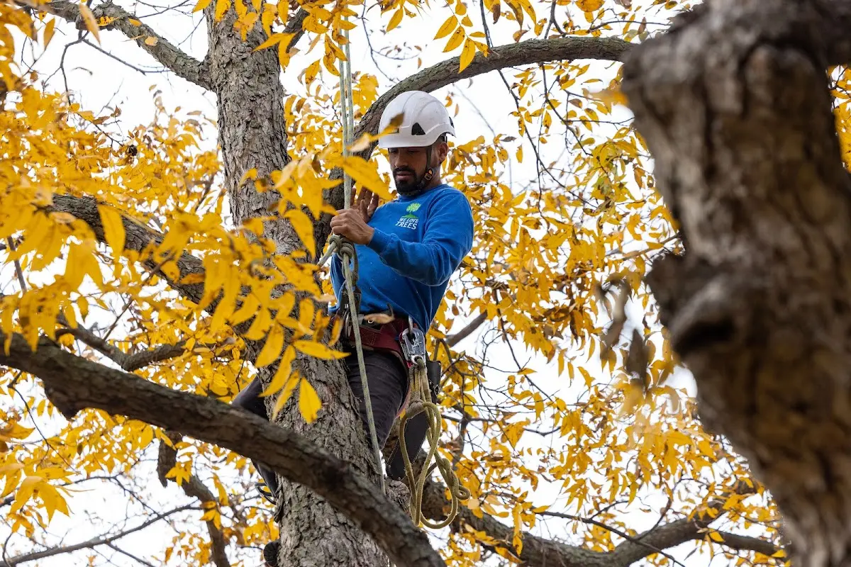 Skilled Storm Damage Cleanup crew working in Byers
